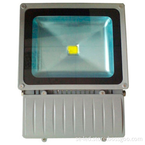 100W Pure White Bridgelux 5 years warranty led flood light bulbs